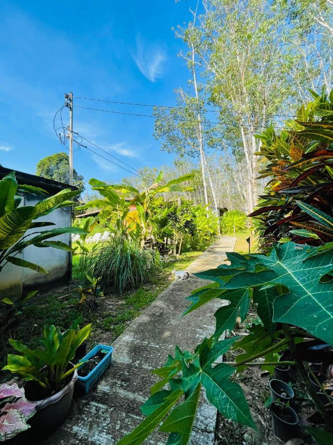 Lok Mun Bungalows Ko Yao Noi Extérieur photo